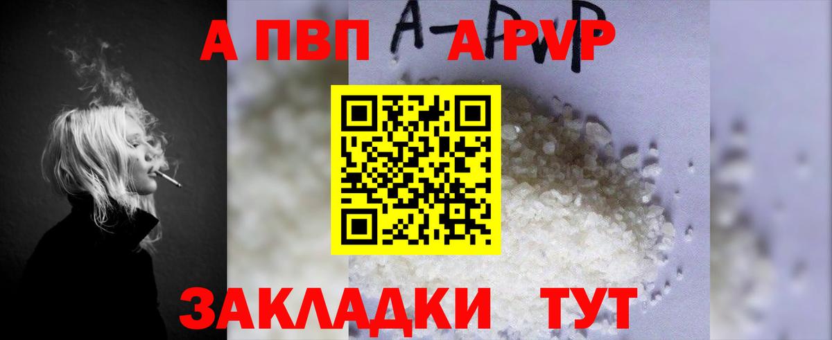 Альфа ПВП СК КРИС Ачхой-Мартан