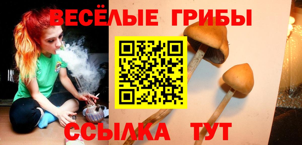 Псилоцибиновые грибы ЛСД Ачхой-Мартан
